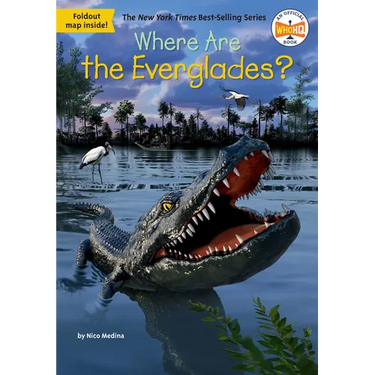 Where Are the Everglades?
