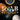 Nature Baby: Solar System