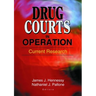 Drug Courts in Operation: Current Research