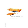 Echolocation