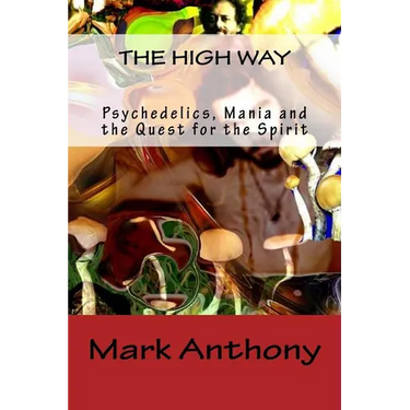 The High Way: Psychedelics, Mania and the Quest for the Spirit