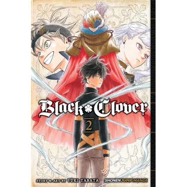Black Clover, Vol. 2: Those Who Protect