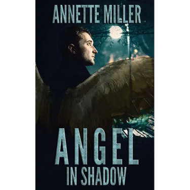 Angel in Shadow