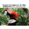 Honey & Grapes Go To The Amazon