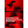 American Immigration After 1996: The Shifting Ground of Political Inclusion
