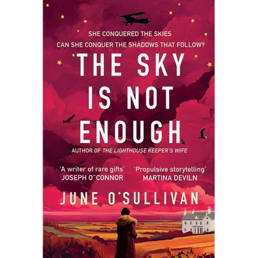 The Sky is Not Enough: A Heart-Stirring Journey of Dreams, Danger, and Destiny