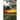 The Remnant