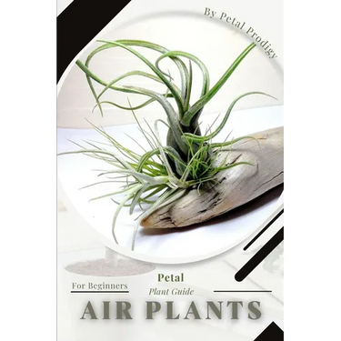 Air plants: Prodigy Petal, Plant Guide