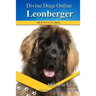 Leonberger