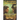 An Equation with One Unknown (Invasion Book #2): LitRPG Series
