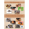 World Meliponine Taxonomy Nomenclature