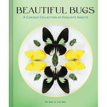 Beautiful Bugs: A Curious Collection of Exquisite Insects