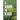 A Region in Revolt: Mapping the recent uprisings in North Africa and West Asia