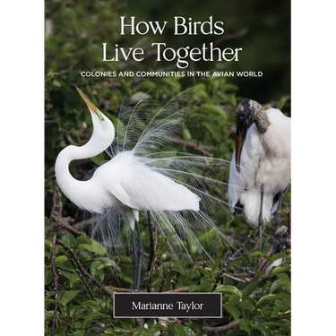 How Birds Live Together: Colonies and Communities in the Avian World