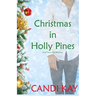 Christmas in Holly Pines (Small Town Gay Romance)