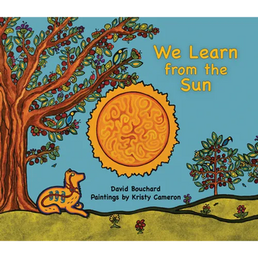 We Learn from the Sun