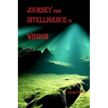 Journey from Intelligence to Wisdom: philosophy