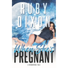 When She's Pregnant: A Risdaverse Novella