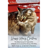 Happy Meowy Christmas Devotional