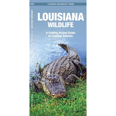 Louisiana Wildlife: A Folding Pocket Guide to Familiar Animals