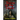 Terror in the Dark: A collection of Supernatural Horror stories
