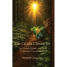 The Cicada Chronicles: One Broken Woman's Journey To Spiritual Transformation