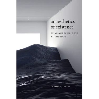 Anaesthetics of Existence: Essays on Experience at the Edge