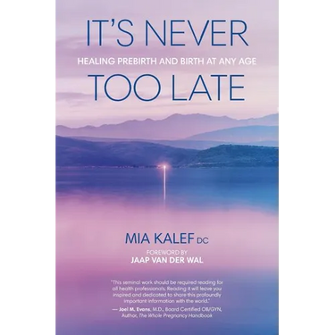 It's Never Too Late: Healing Prebirth And Birth At Any Age