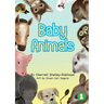 Baby Animals