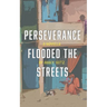 Perseverance Flooded the Streets