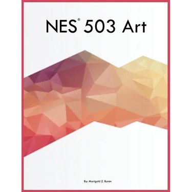 NES 503 Art