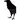 The darkest bird: a slim book of poetry