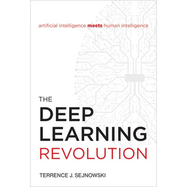 The Deep Learning Revolution