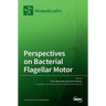 Perspectives on Bacterial Flagellar Motor