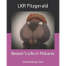 Beaver's Life in Pictures: Samlesbury Hall