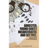 ARRESTED. FOUND GUILTY. INCARCERATED and SET FREE: Spiritual Advice for Breaking the Cycle of ex-offenders and at-risk children