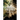 Funeral Frames