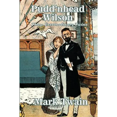 Pudd'nhead Wilson: A Novel of Identity and Justice in the American South