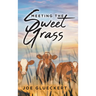 Meeting the Sweet Grass