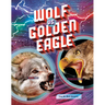 Wolf vs. Golden Eagle