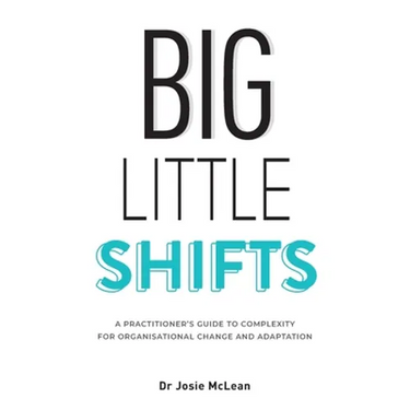 Big Little Shifts: A Practitioner's Guide to Complexity for Organisational Change and Adaptation