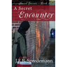 A Secret Encounter (Amish Secrets #2)