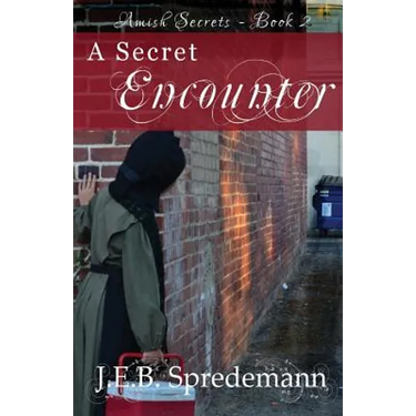 A Secret Encounter (Amish Secrets #2)