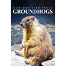 Groundhogs - Curious Kids Press: Kids book about animals and wildlife, Children's books 4-6