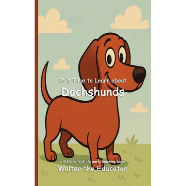 It's Time to Learn about Dachshunds