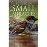 Believe in Small Miracles: Look for small miracles in your life.