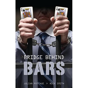 Bridge Behind Bars