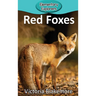Red Foxes