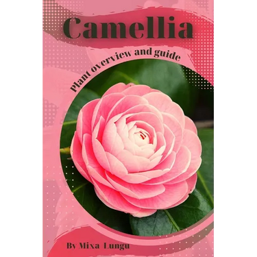 Camellia: Plant overview and guide