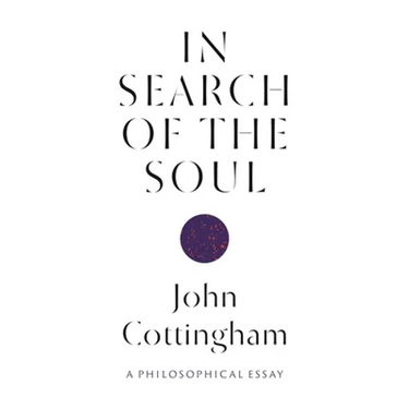 In Search of the Soul: A Philosophical Essay